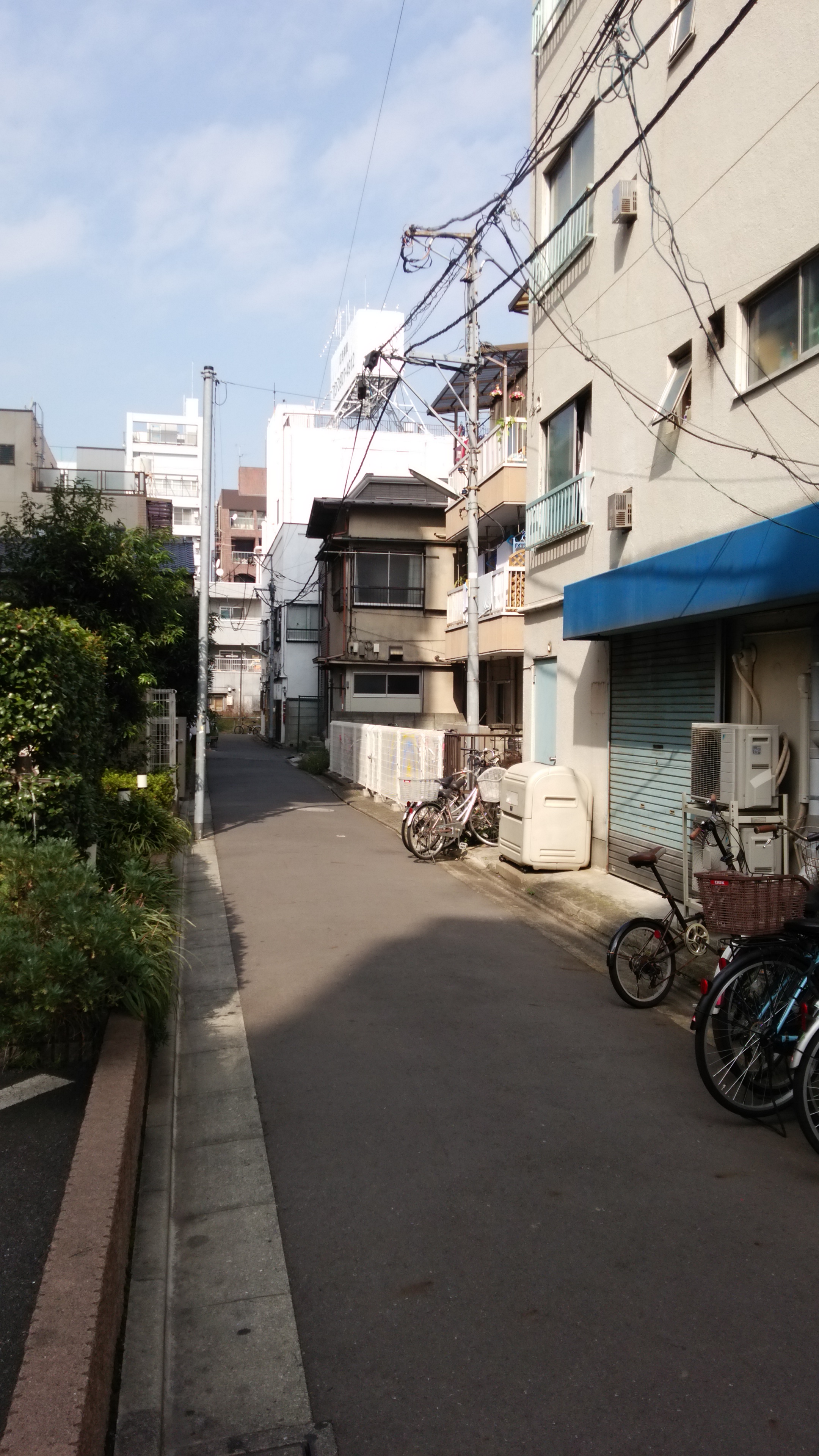 Gひばり薬局の入っている建物のお隣、ハイム小金澤の102号室が、天秤堂です。
